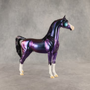 Apollo OOAK Arabian Stallion by Erin Corbett DDOOAKs26