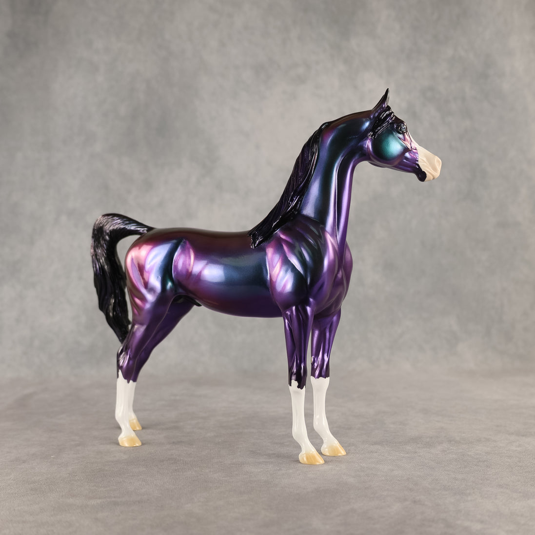 Apollo OOAK Arabian Stallion by Erin Corbett DDOOAKs26