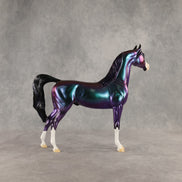 Apollo OOAK Arabian Stallion by Erin Corbett DDOOAKs26
