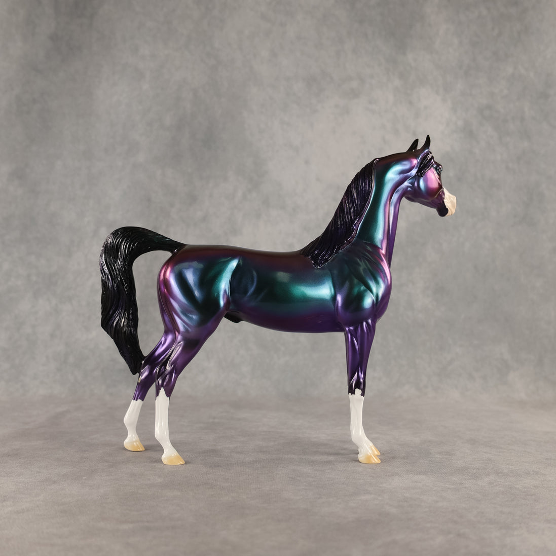Apollo OOAK Arabian Stallion by Erin Corbett DDOOAKs26