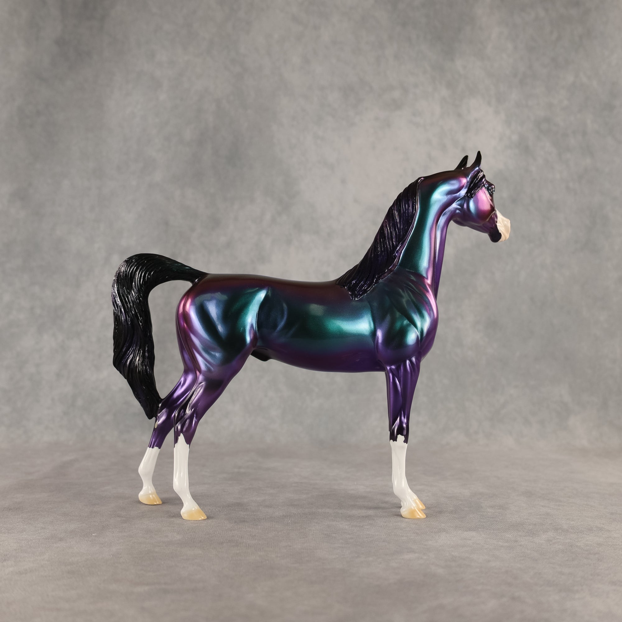 Apollo OOAK Arabian Stallion by Erin Corbett DDOOAKs26
