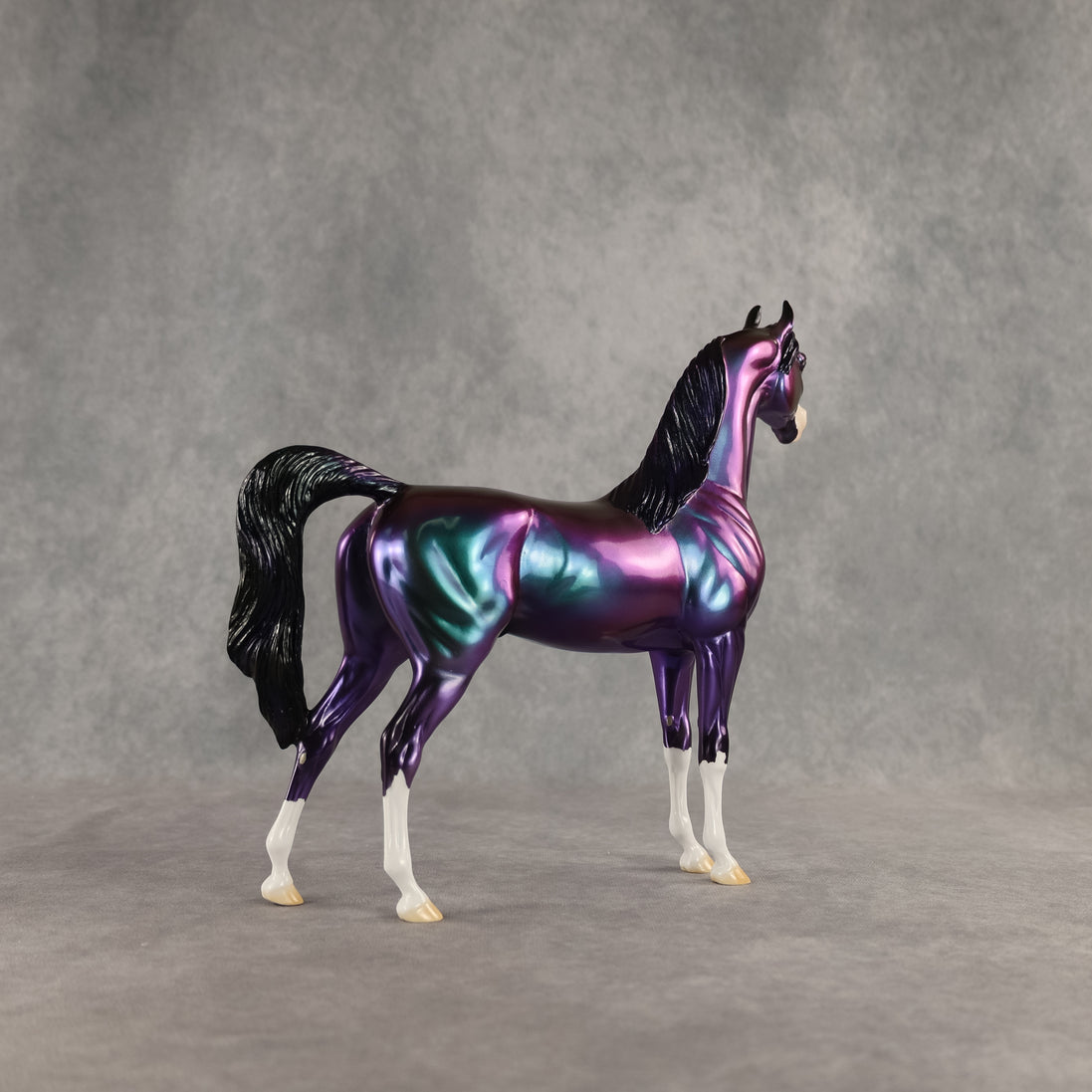 Apollo OOAK Arabian Stallion by Erin Corbett DDOOAKs26