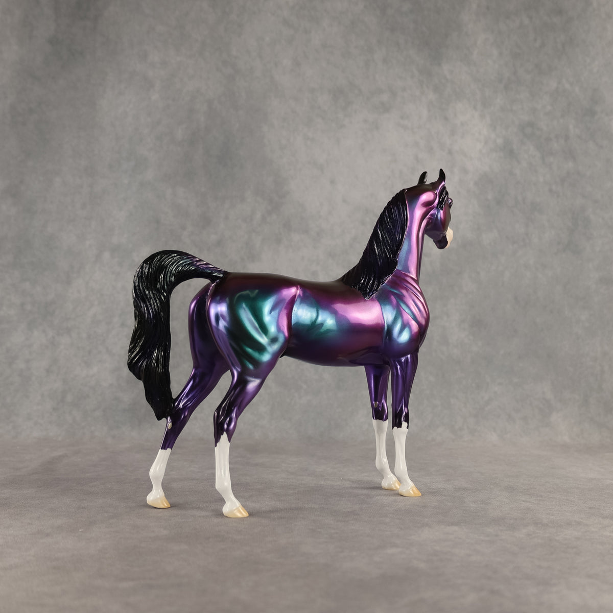 Apollo OOAK Arabian Stallion by Erin Corbett DDOOAKs26