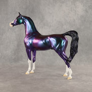 Apollo OOAK Arabian Stallion by Erin Corbett DDOOAKs26
