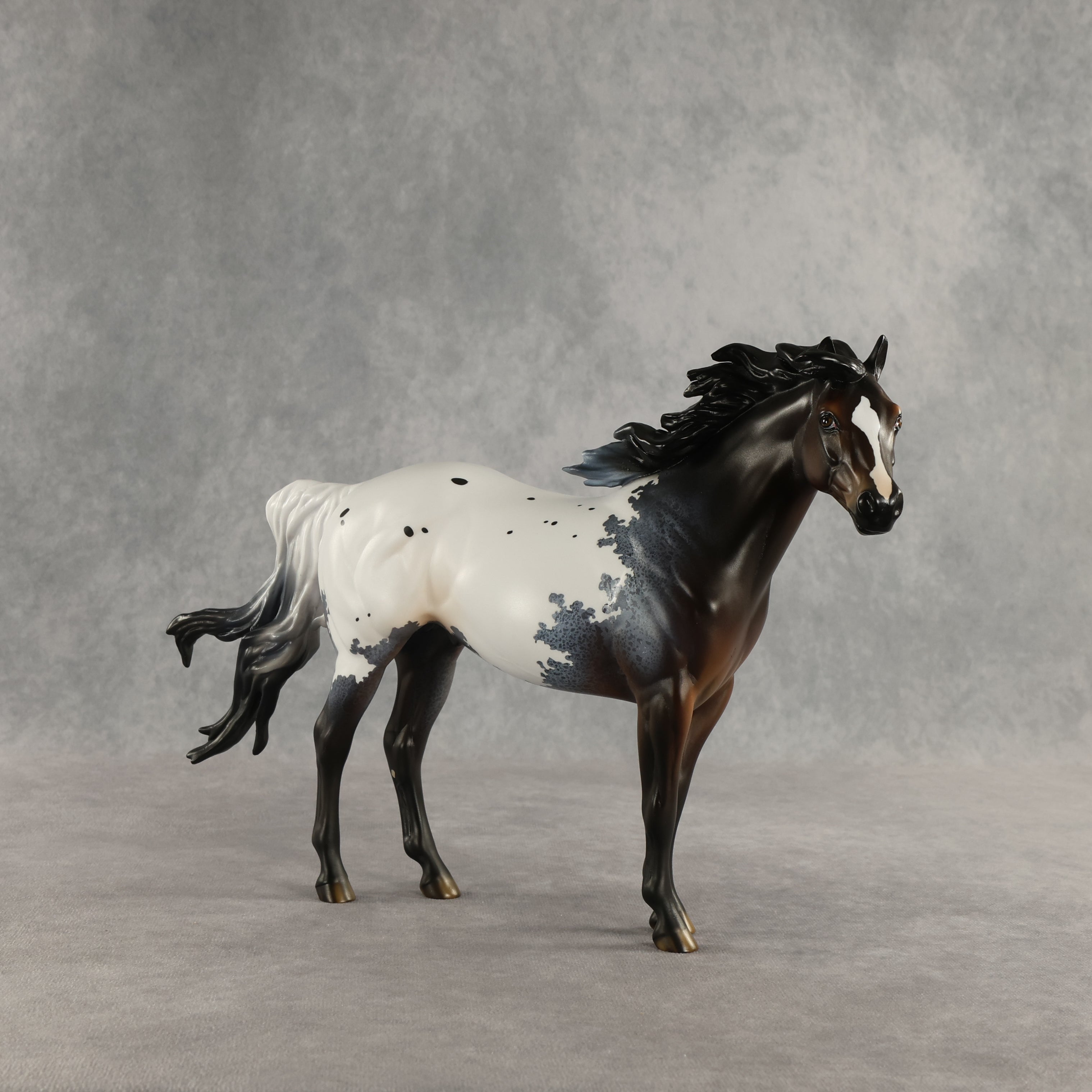 Appt to Impress LE-20 FCM Ideal Stock Horse by Jess Hamill TS26