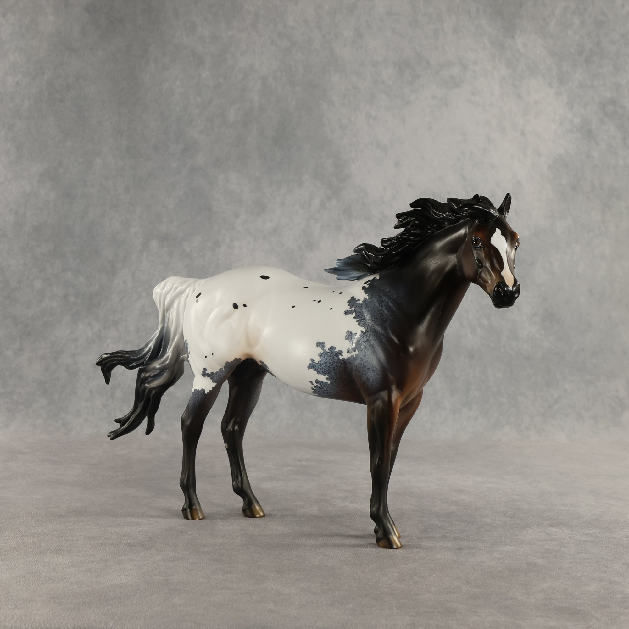 Appt to Impress LE-20 FCM Ideal Stock Horse by Jess Hamill TS26