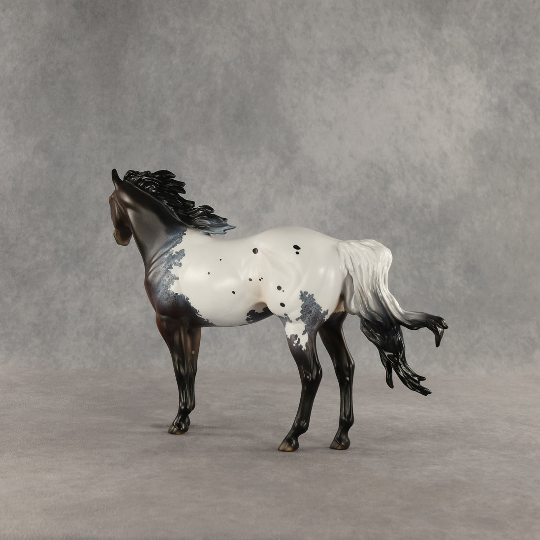 Appt to Impress LE-20 FCM Ideal Stock Horse by Jess Hamill TS26
