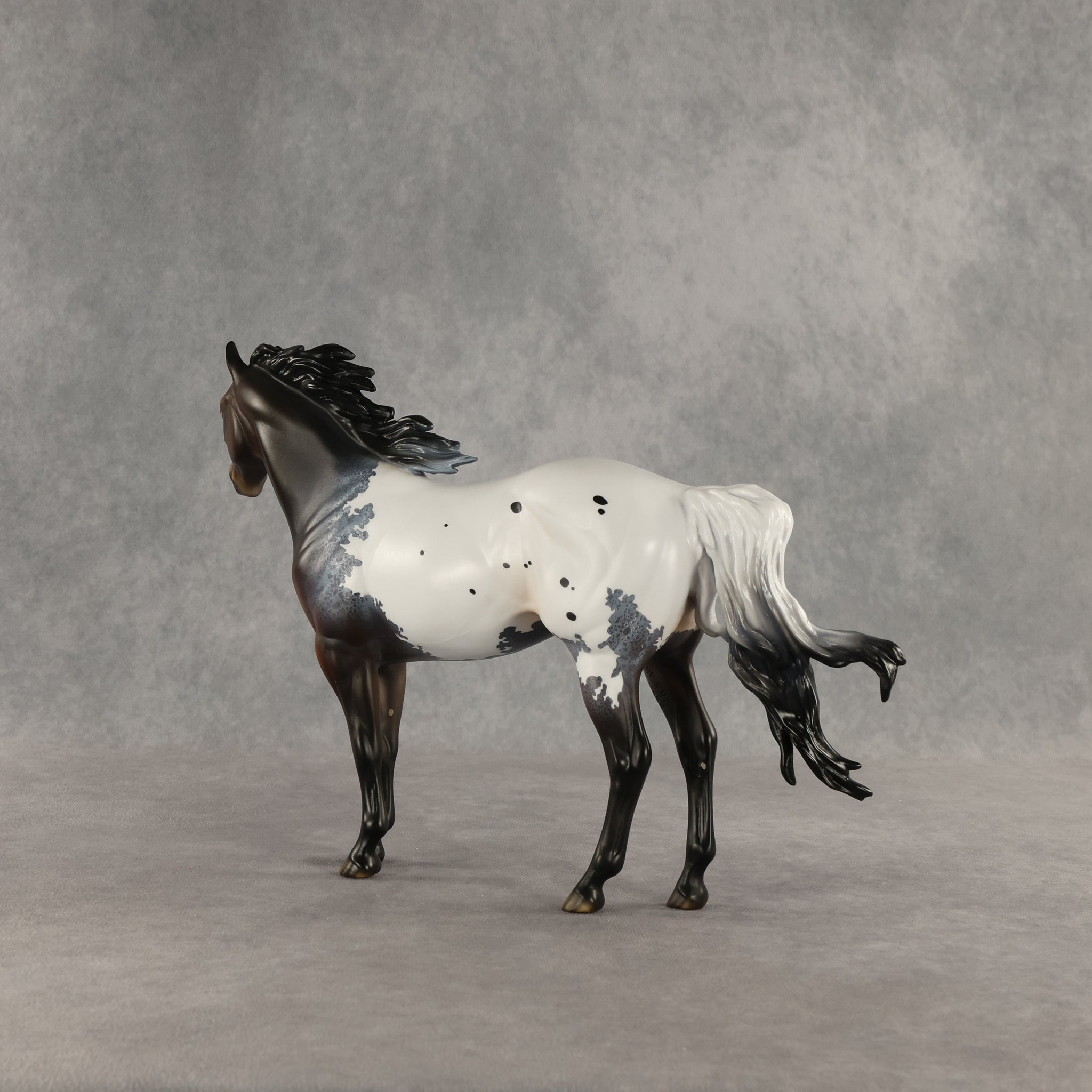 Appt to Impress LE-20 FCM Ideal Stock Horse by Jess Hamill TS26