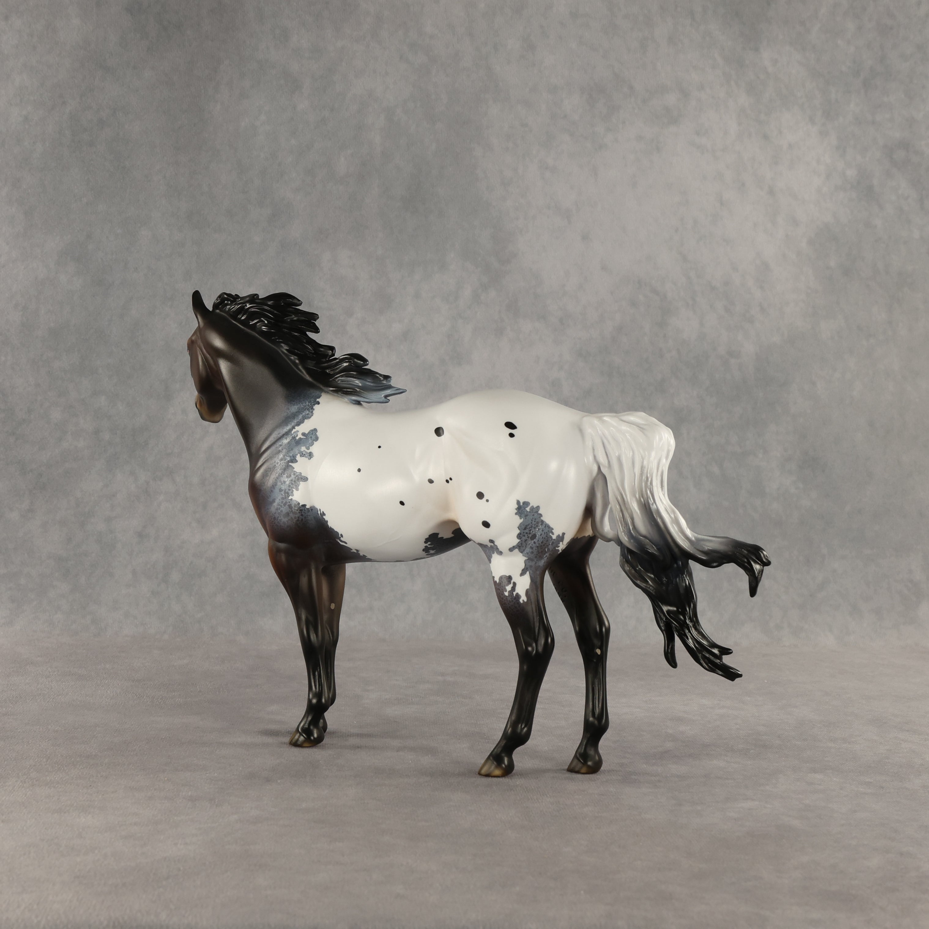 Appt to Impress LE-20 FCM Ideal Stock Horse by Jess Hamill TS26