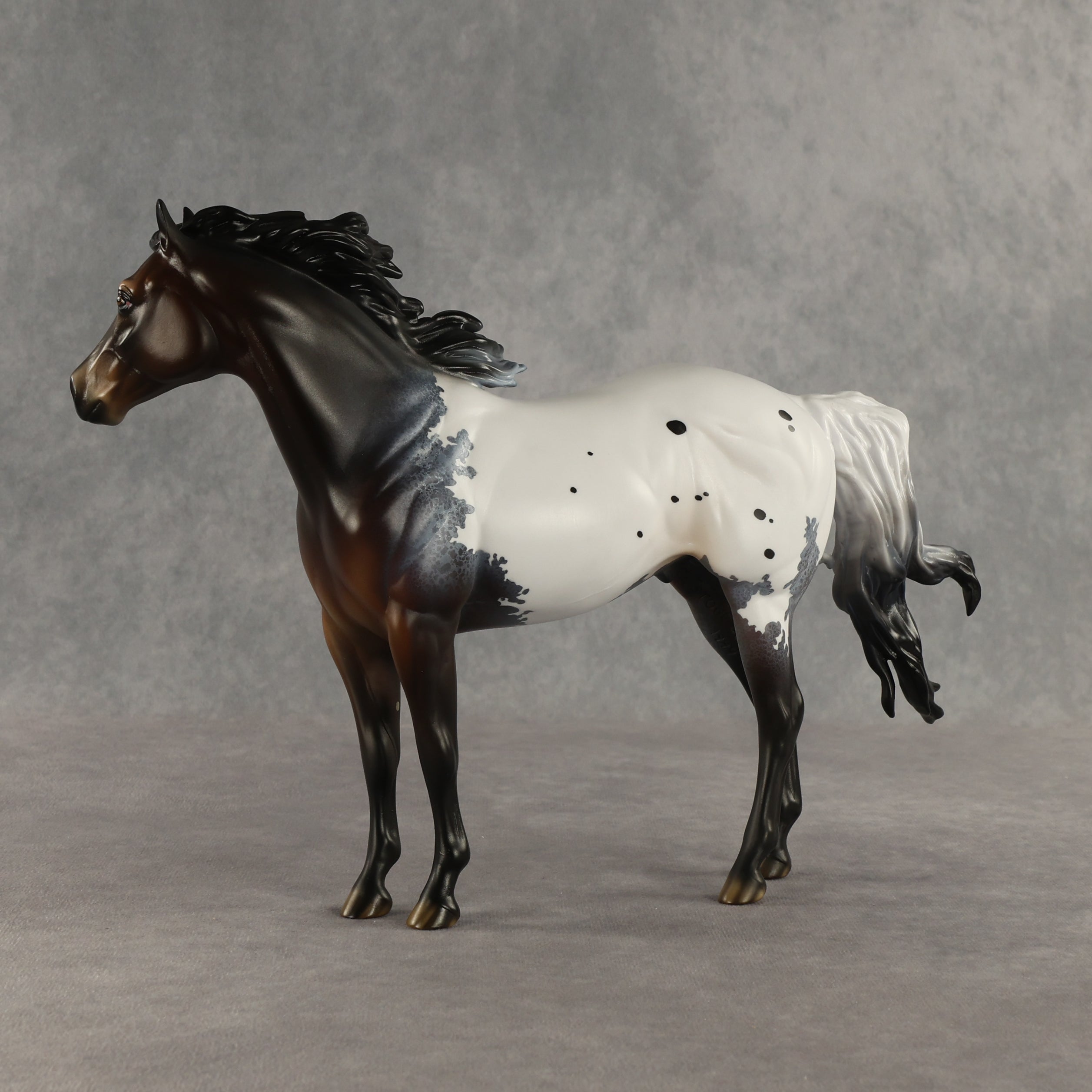 Appt to Impress LE-20 FCM Ideal Stock Horse by Jess Hamill TS26