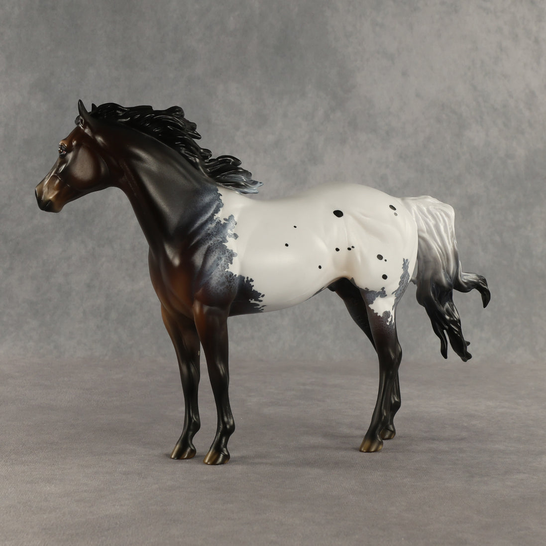 Appt to Impress LE-20 FCM Ideal Stock Horse by Jess Hamill TS26