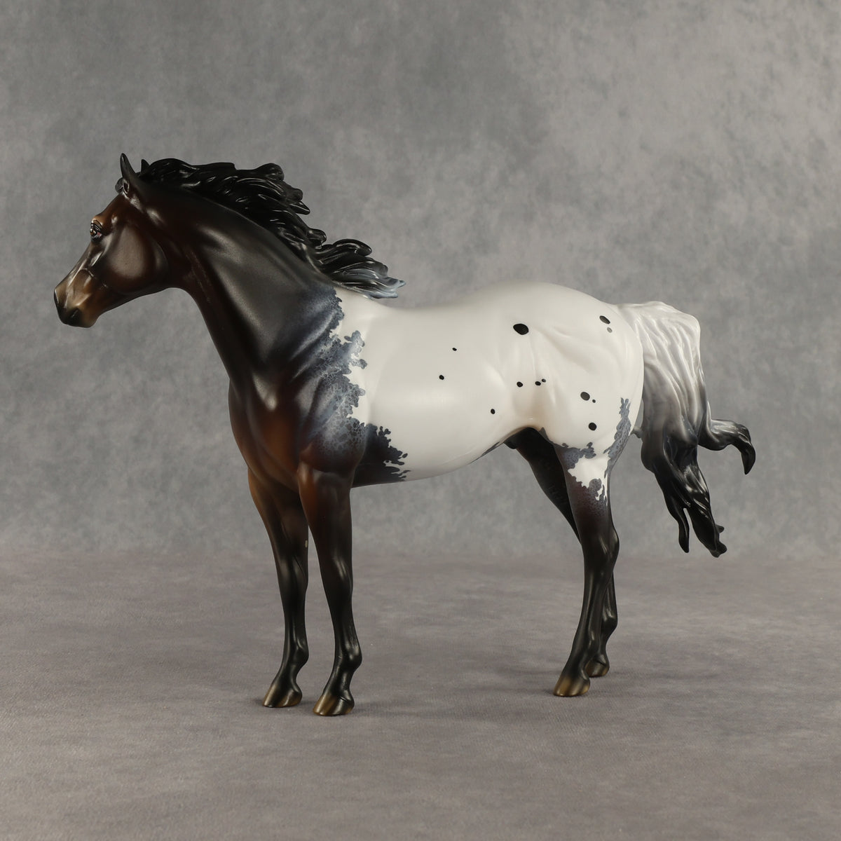 Appt to Impress LE-20 FCM Ideal Stock Horse by Jess Hamill TS26