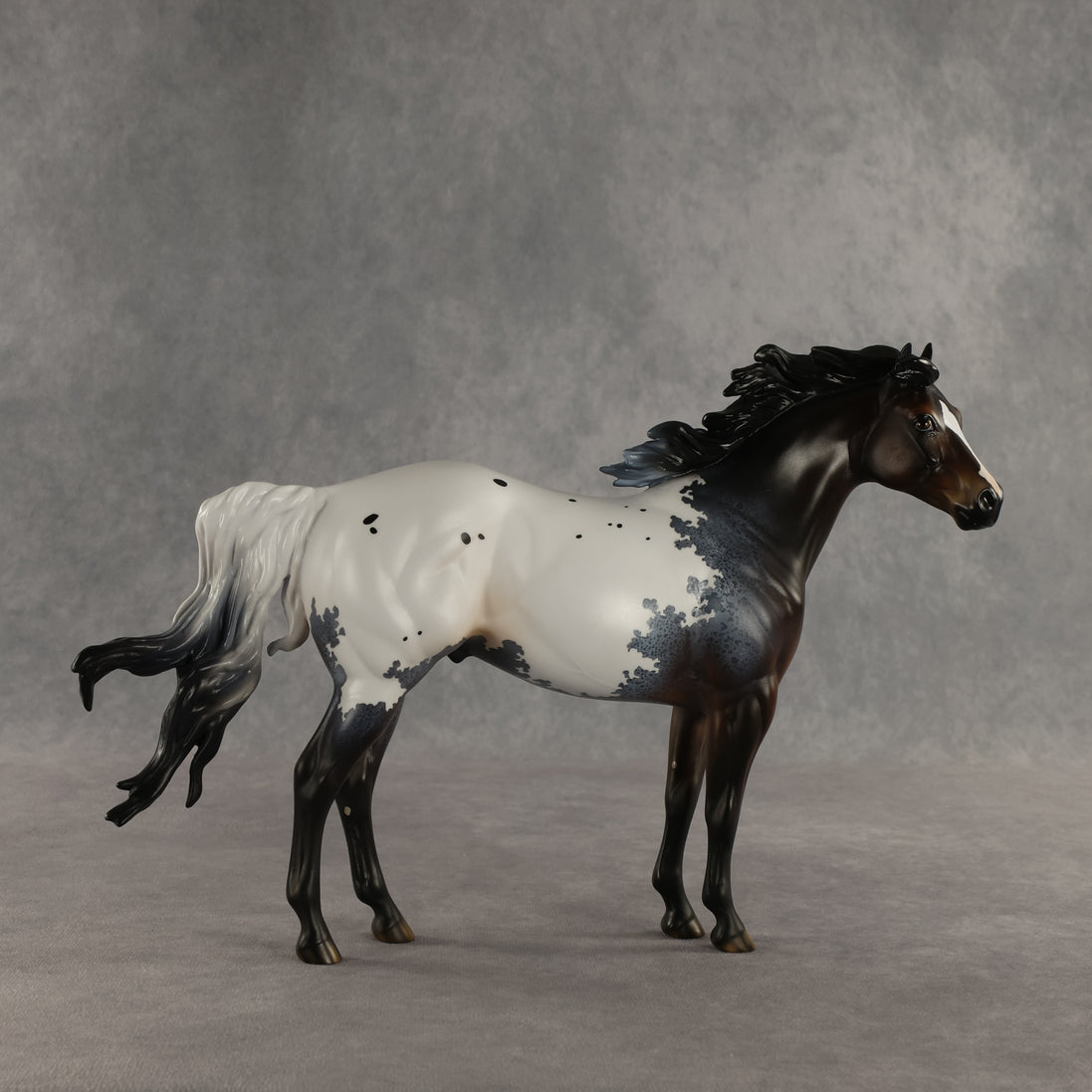Appt to Impress LE-20 FCM Ideal Stock Horse by Jess Hamill TS26