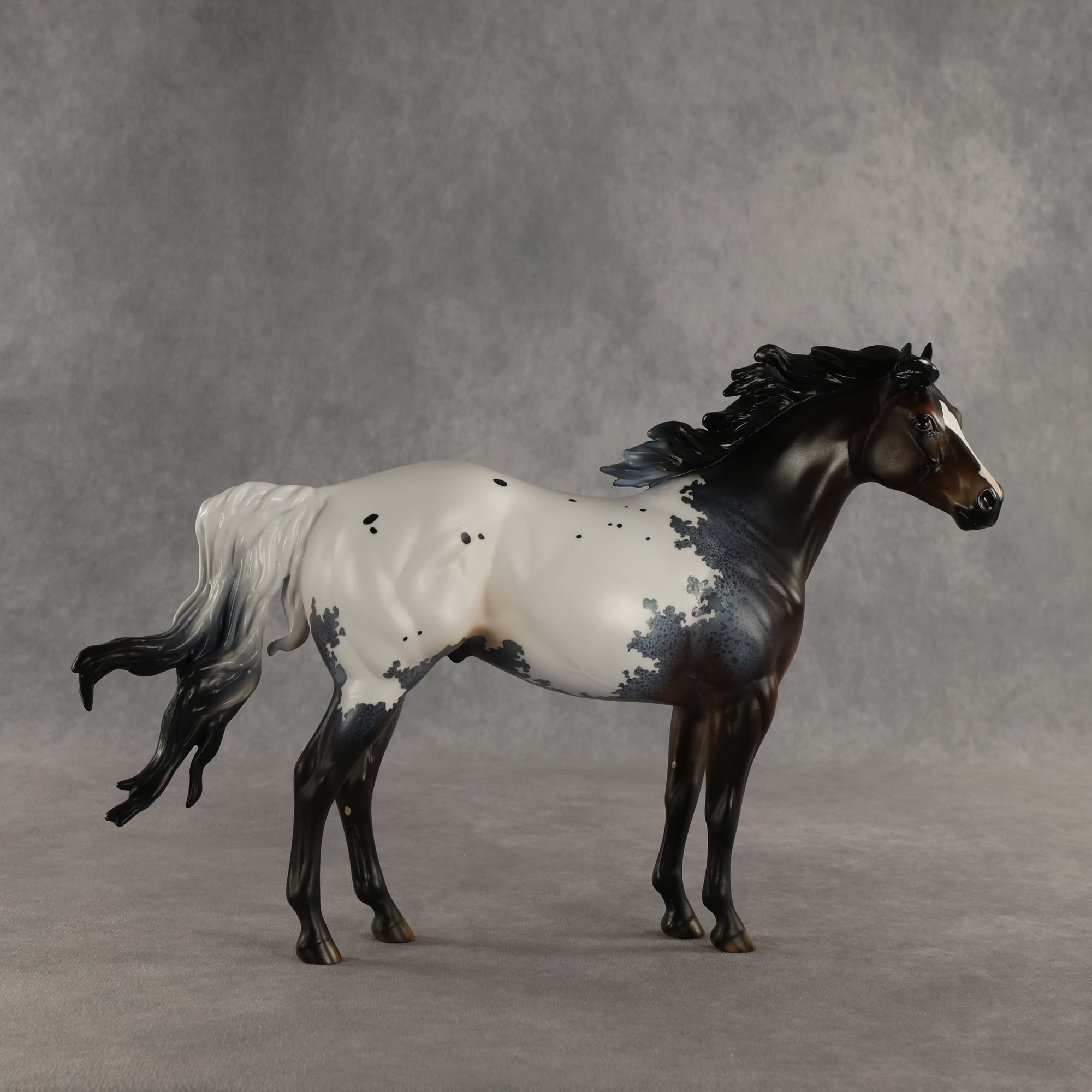 Appt to Impress LE-20 FCM Ideal Stock Horse by Jess Hamill TS26