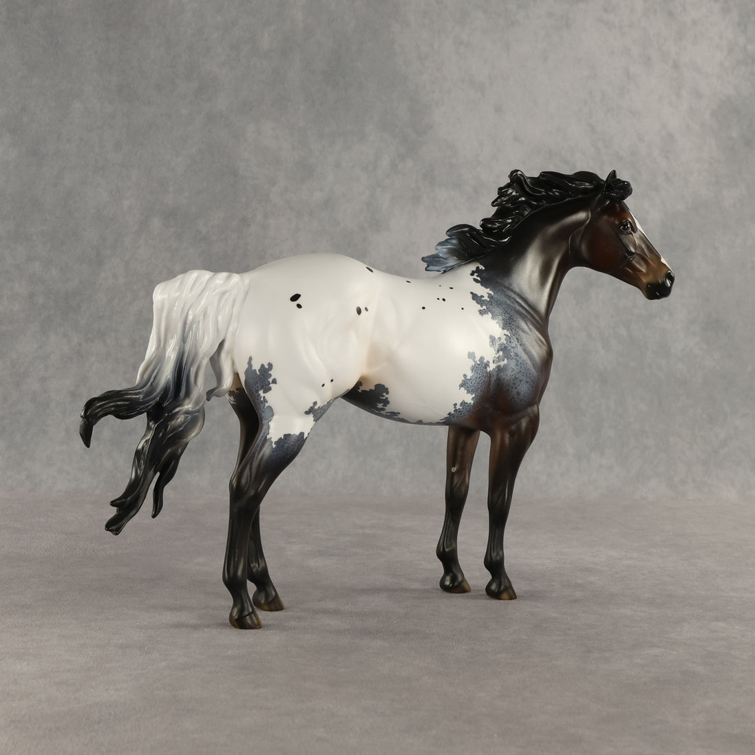 Appt to Impress LE-20 FCM Ideal Stock Horse by Jess Hamill TS26