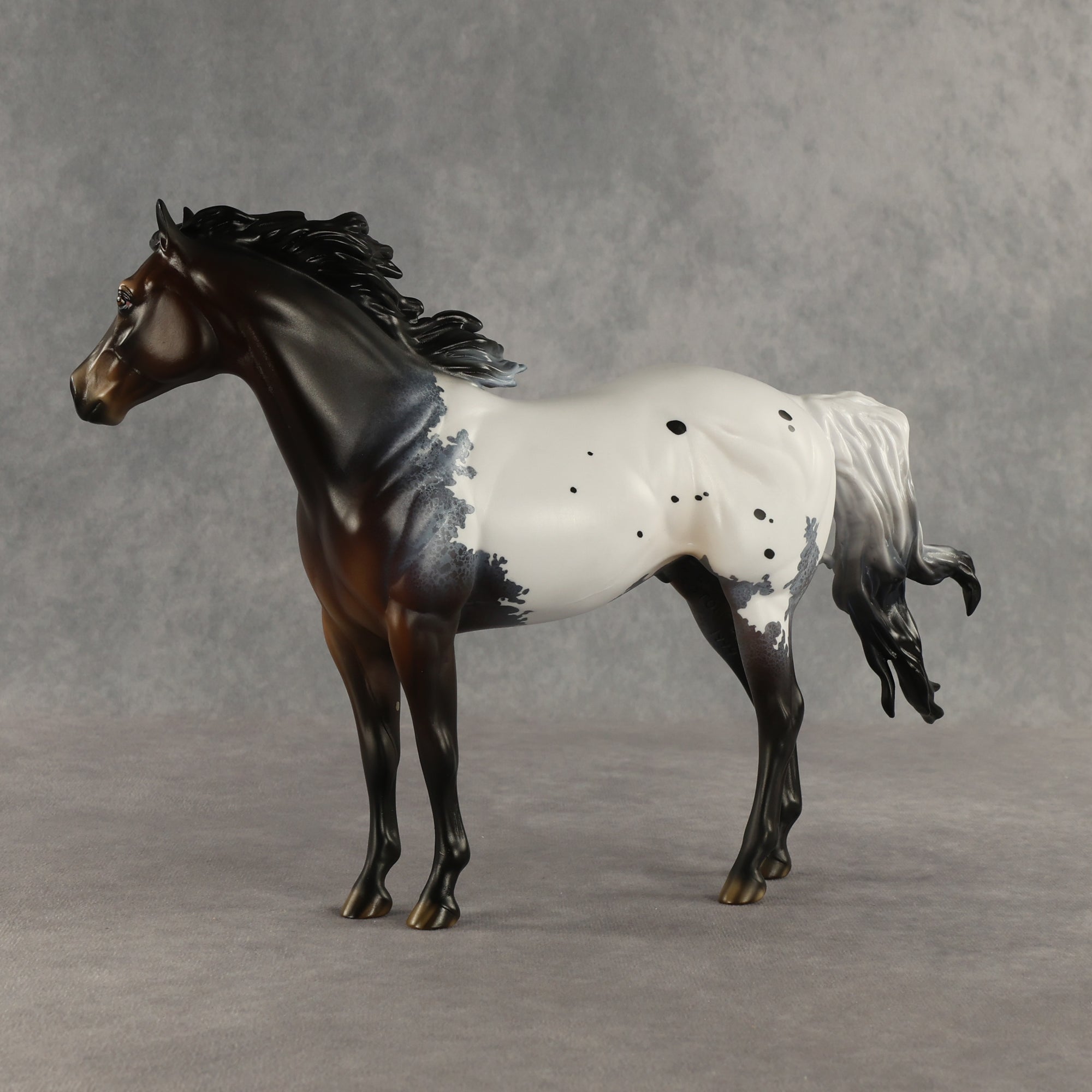 Appt to Impress LE-20 FCM Ideal Stock Horse by Jess Hamill TS26