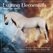 Oceano LE-15 FCM Irish Draught by Ashley Palmer & Melanie Miller EL26