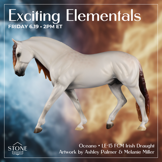 Oceano LE-15 FCM Irish Draught by Ashley Palmer & Melanie Miller EL26