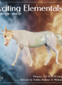 Prisma LE-15 FCM Large Mule by Ashley Palmer & Melanie Miller EL26