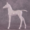 Design-A-Horse FCM Arabian Foal July Release DAH25 PM1785