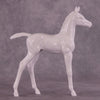 Design-A-Horse FCM Arabian Foal July Release DAH25 PM1785