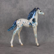 Reflective OOAK FCM Arabian Foal by Erin & Rori AH26