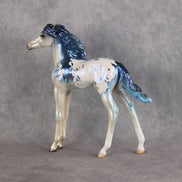 Reflective OOAK FCM Arabian Foal by Erin & Rori AH26
