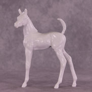 Design-A-Horse NEW FCM Arabian Foal November Release DAH25 PM02520