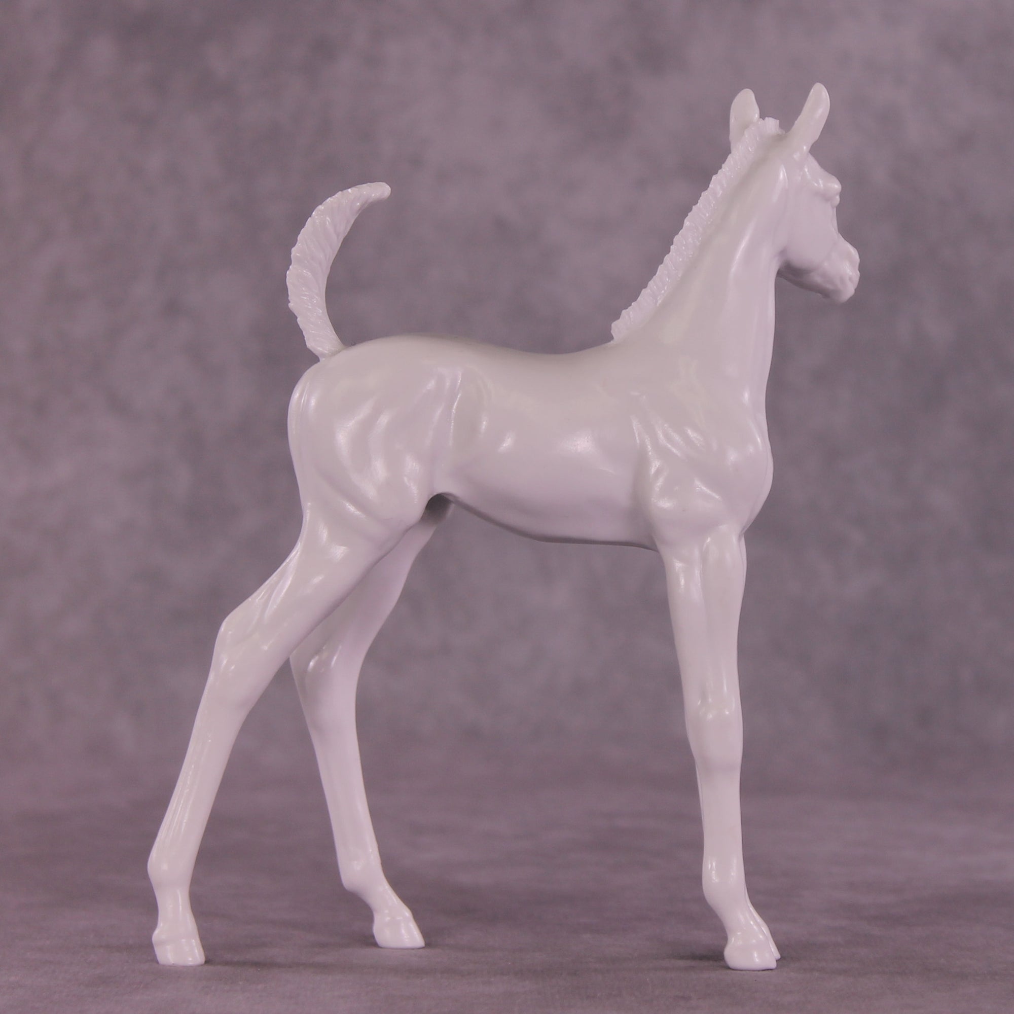 Design-A-Horse Stone Arabian Foal PM02520 - November Release 2025