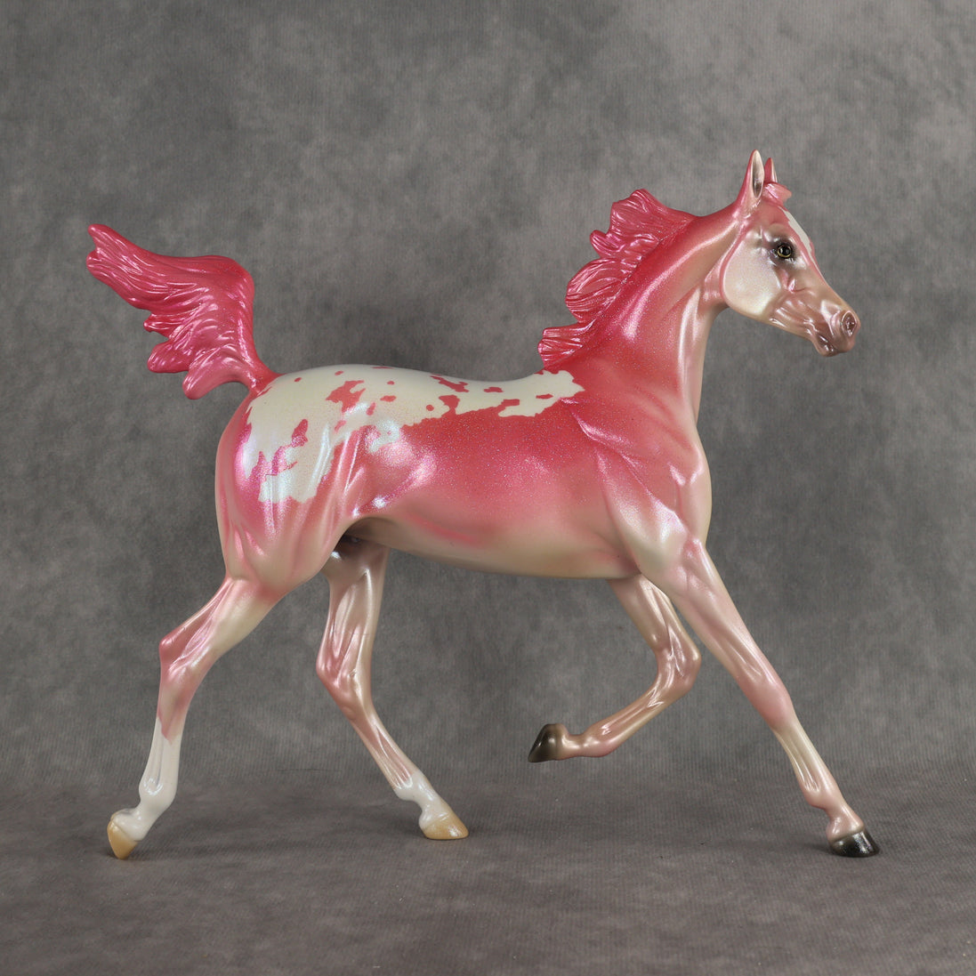 Radiant OOAK FCM Arabian Yearling by Erin & Rori AH26