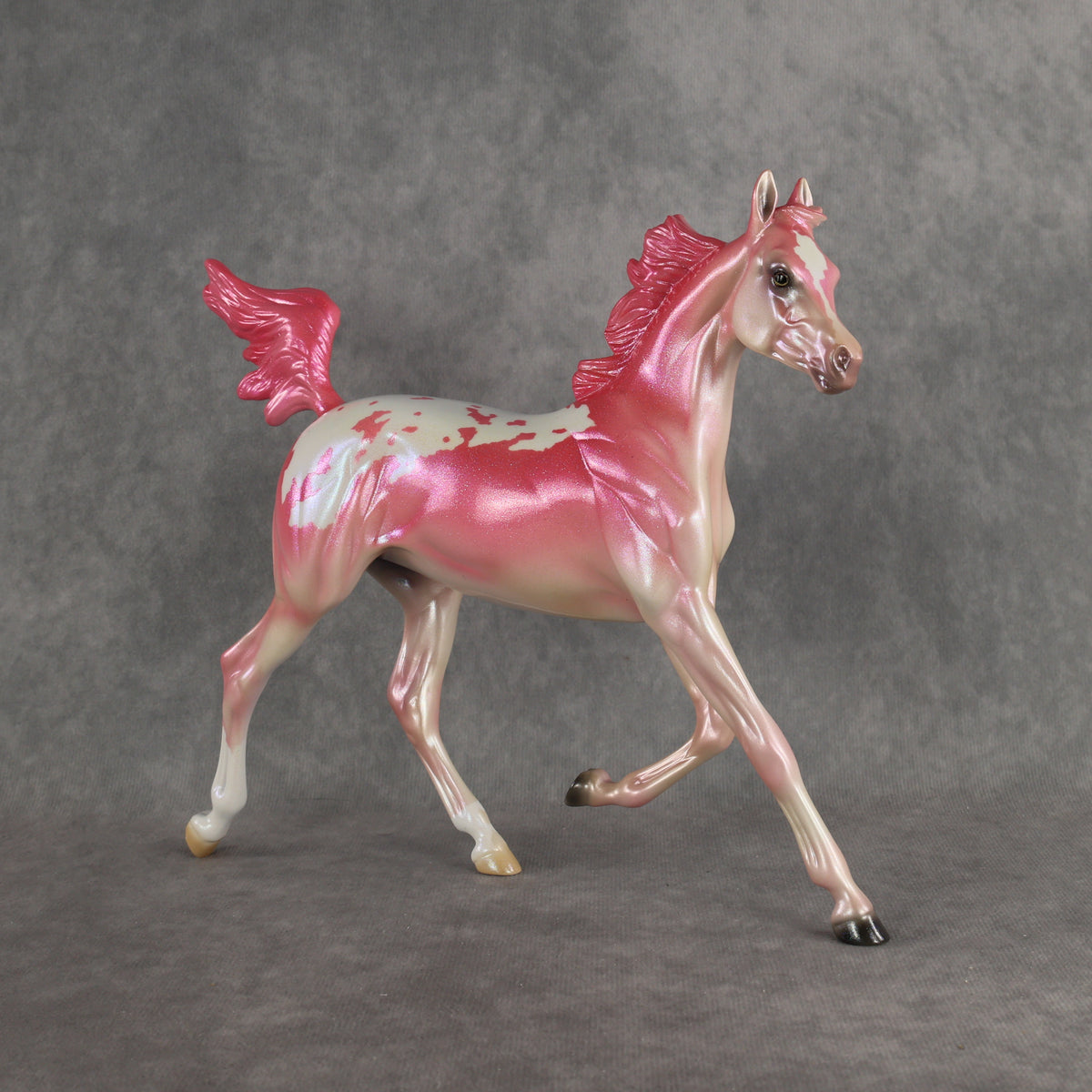 Radiant OOAK FCM Arabian Yearling by Erin & Rori AH26