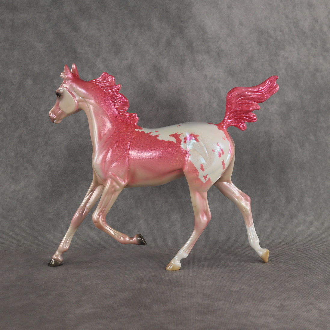 Radiant OOAK FCM Arabian Yearling by Erin & Rori AH26