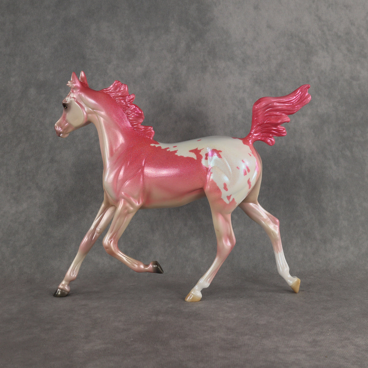 Radiant OOAK FCM Arabian Yearling by Erin & Rori AH26