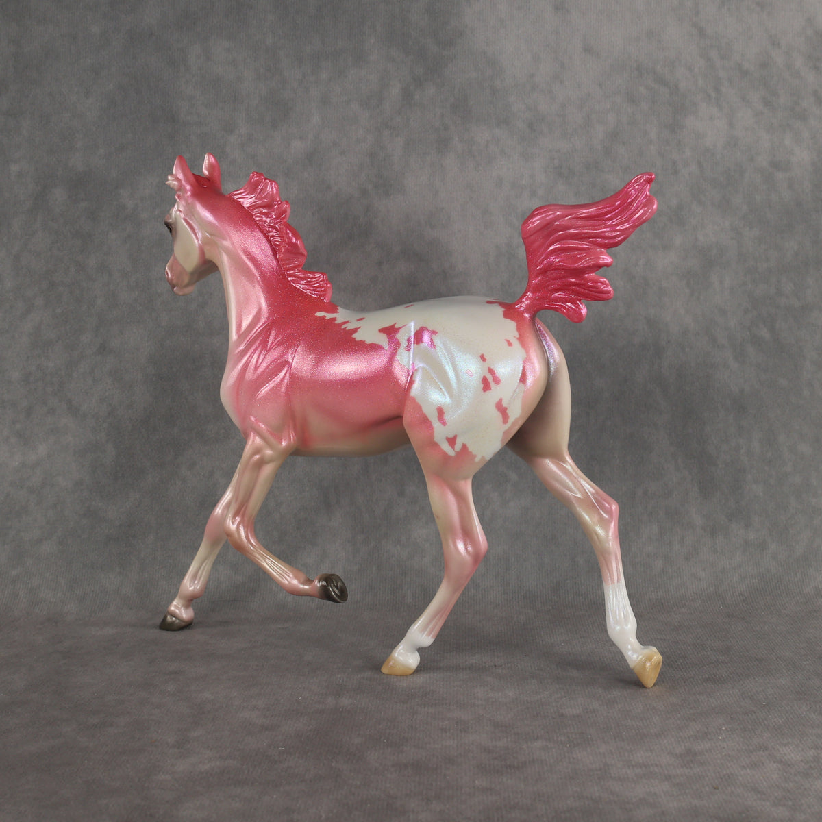 Radiant OOAK FCM Arabian Yearling by Erin & Rori AH26
