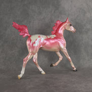 Radiant OOAK FCM Arabian Yearling by Erin & Rori AH26