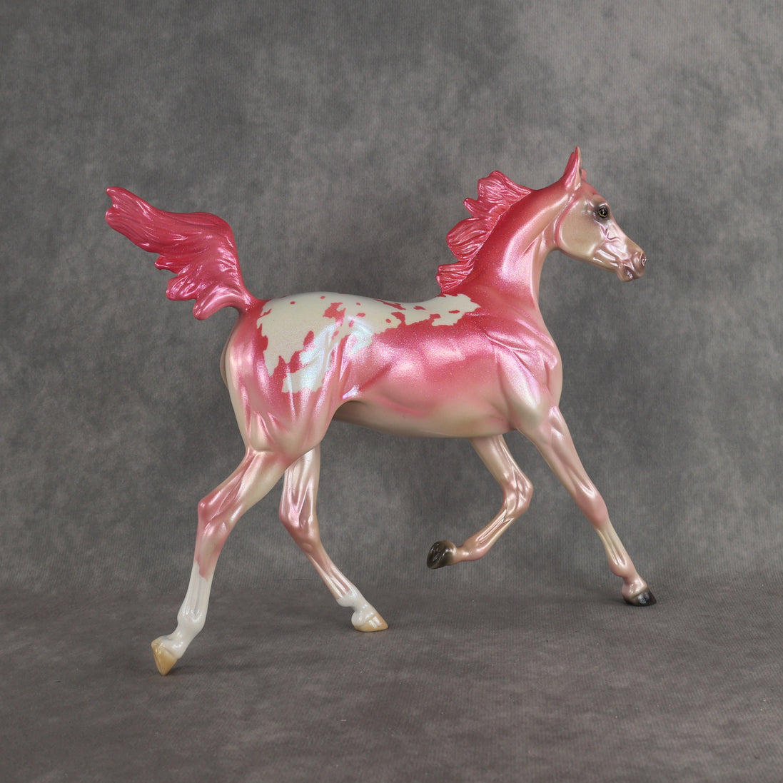 Radiant OOAK FCM Arabian Yearling by Erin & Rori AH26