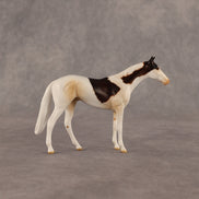 Arias OOAK Chip Thoroughbred  by Anna Rieck EQ26