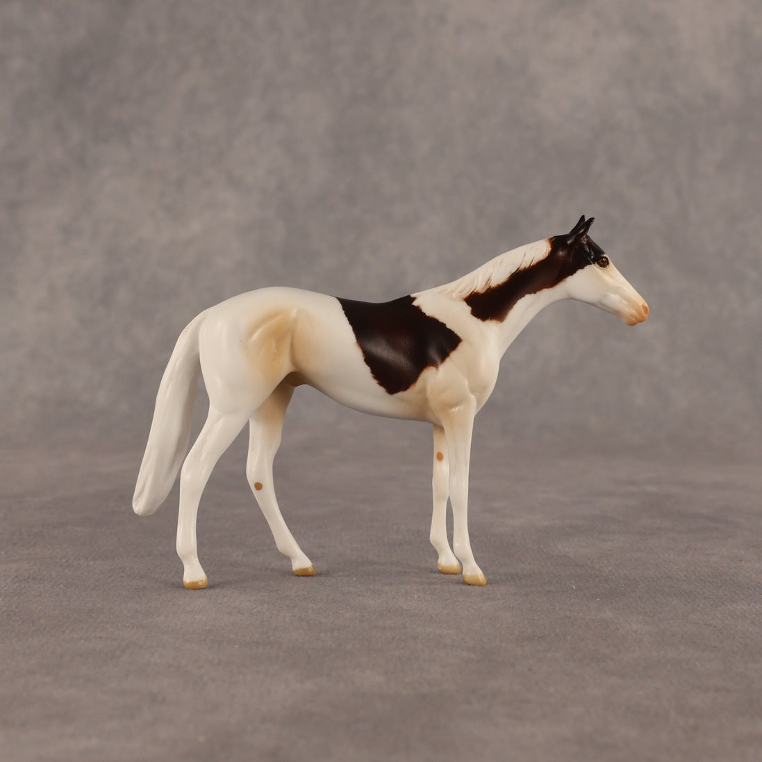 Arias OOAK Chip Thoroughbred  by Anna Rieck EQ26
