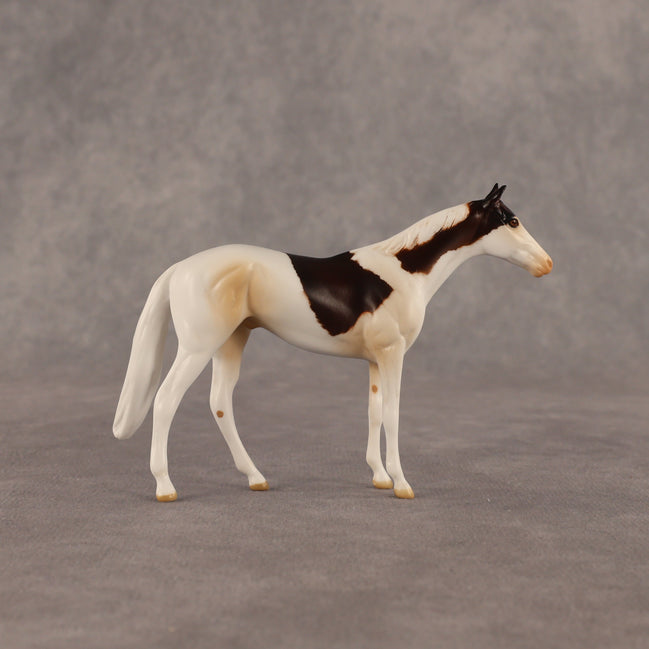 Arias OOAK Chip Thoroughbred  by Anna Rieck EQ26