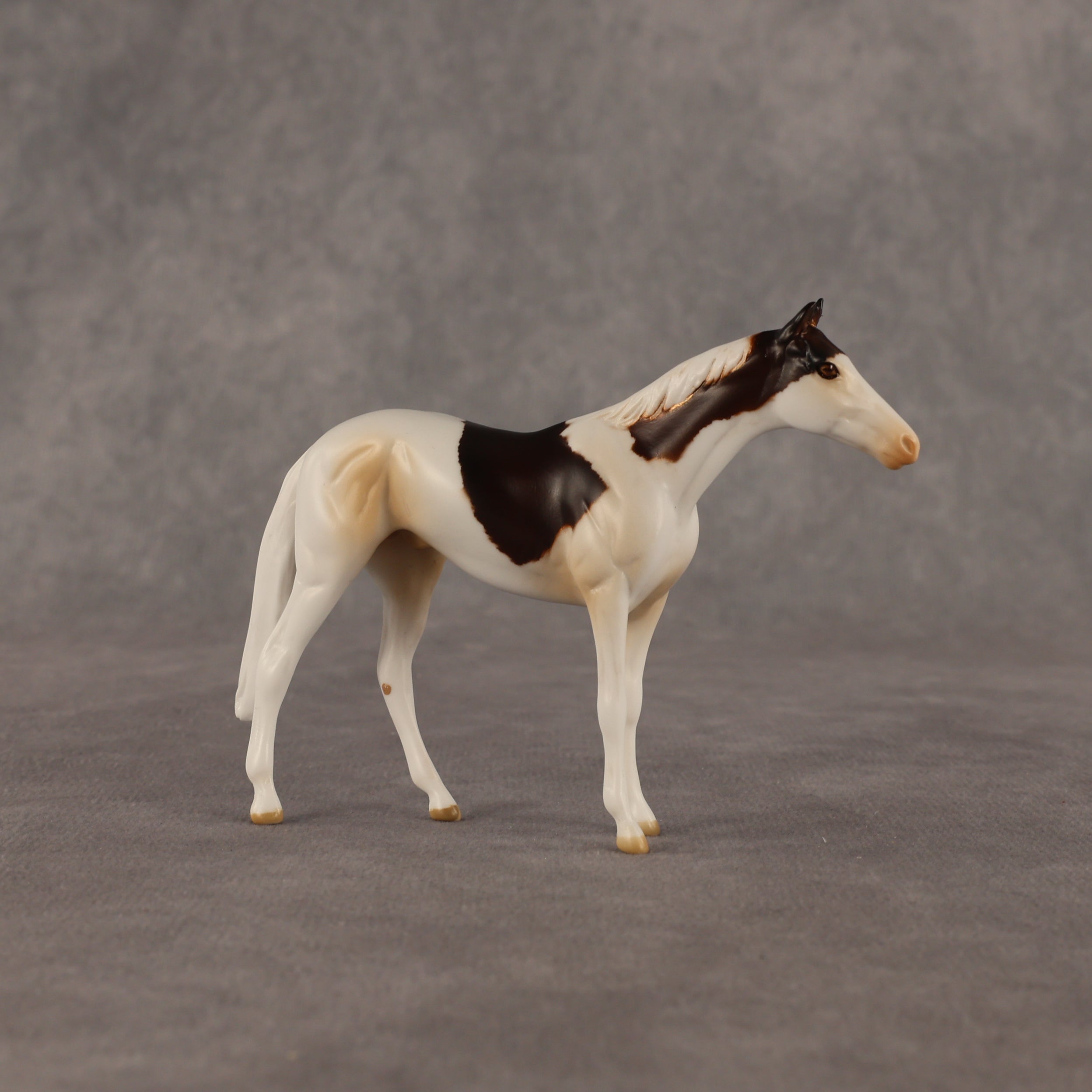 Arias OOAK Chip Thoroughbred  by Anna Rieck EQ26