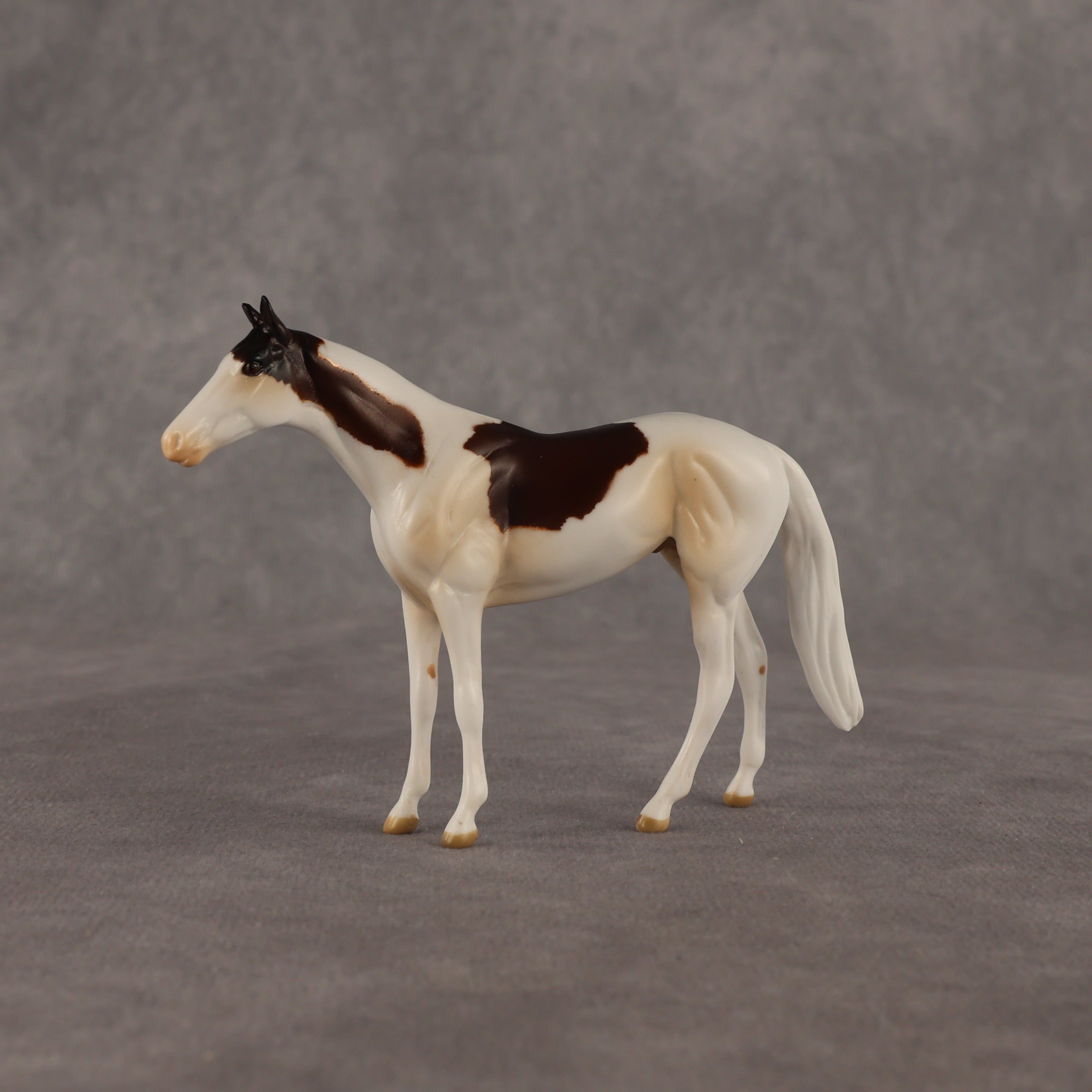 Arias OOAK Chip Thoroughbred  by Anna Rieck EQ26