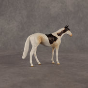 Arias OOAK Chip Thoroughbred  by Anna Rieck EQ26