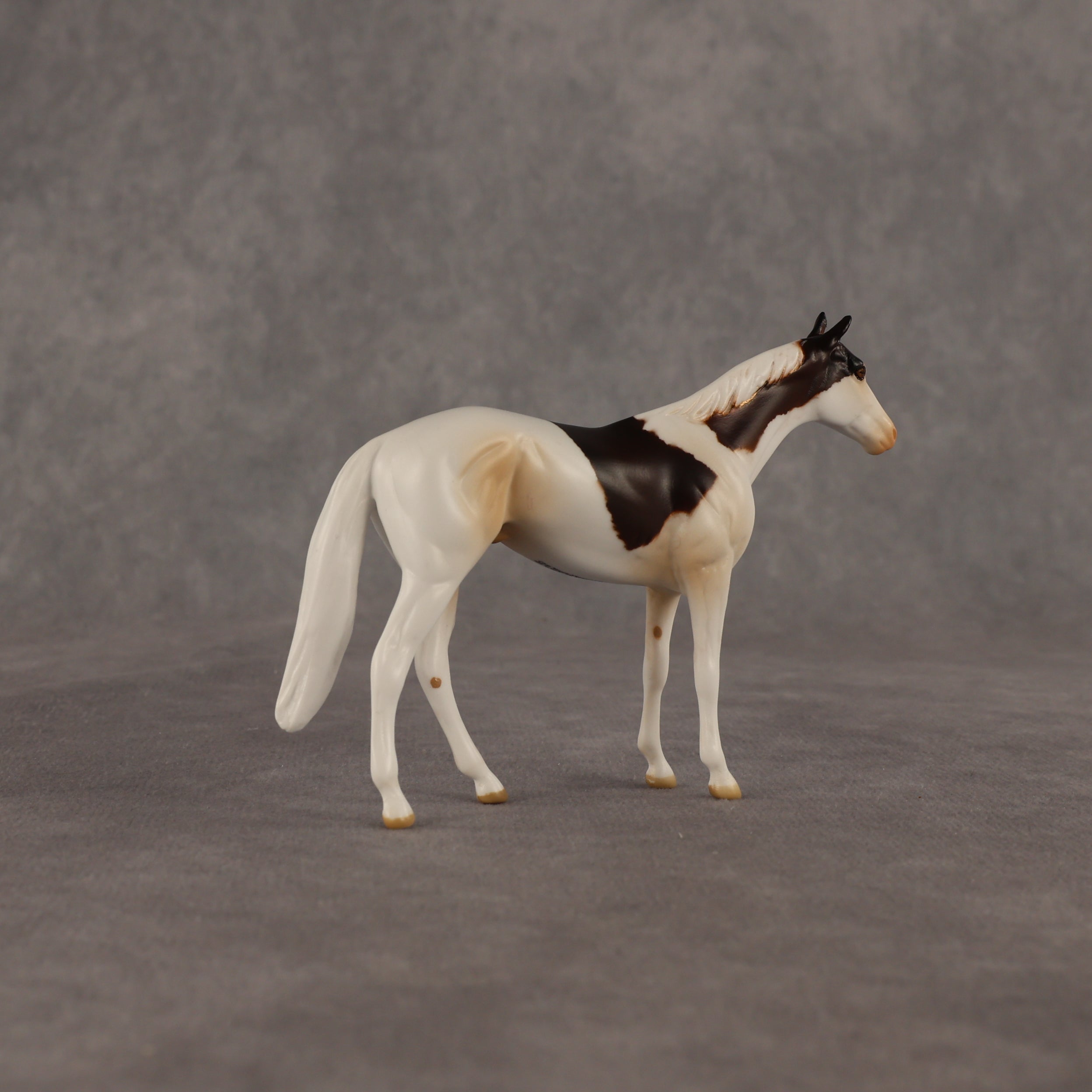 Arias OOAK Chip Thoroughbred  by Anna Rieck EQ26