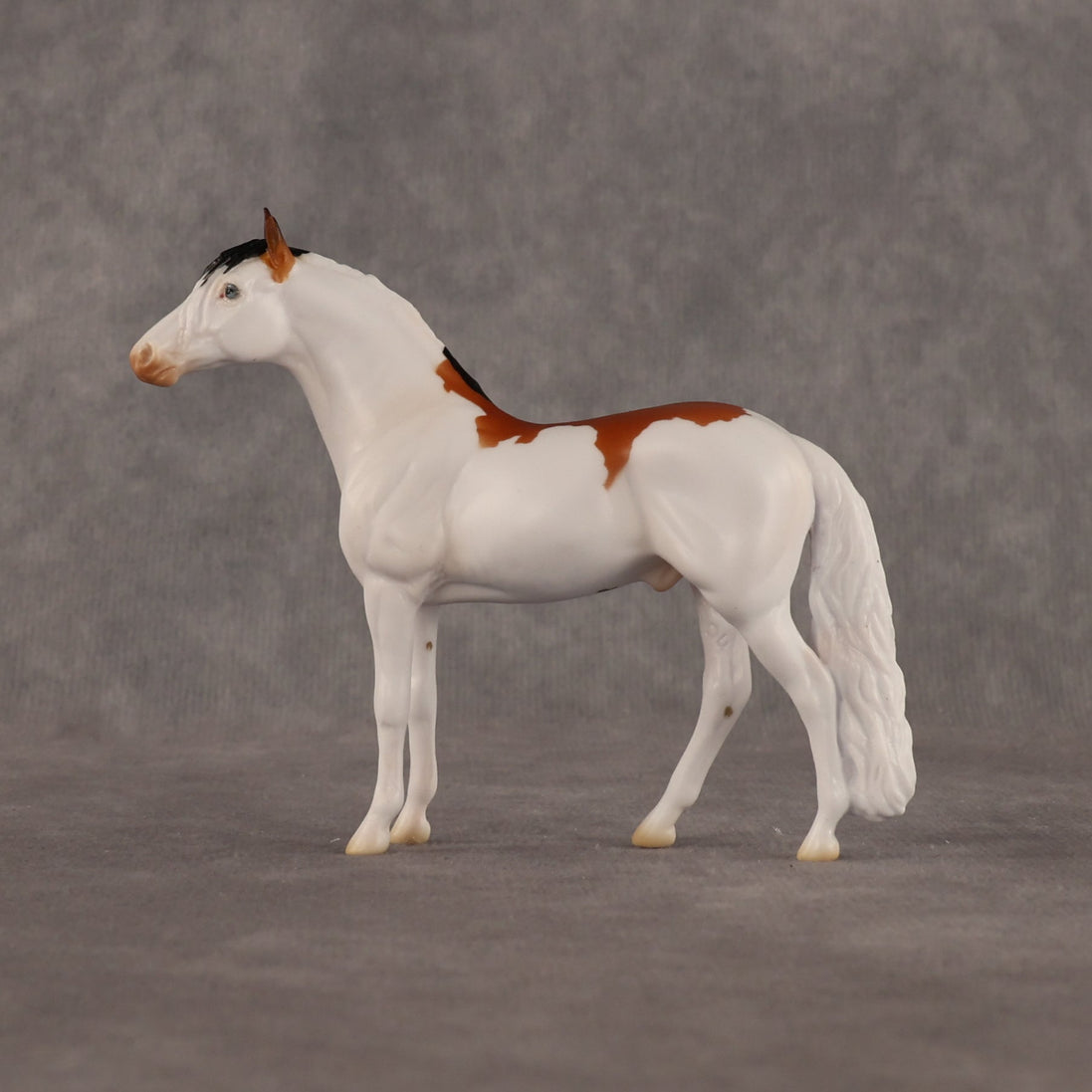 Arthur OOAK Chip Andalusian by Madi Wiseman LHS26