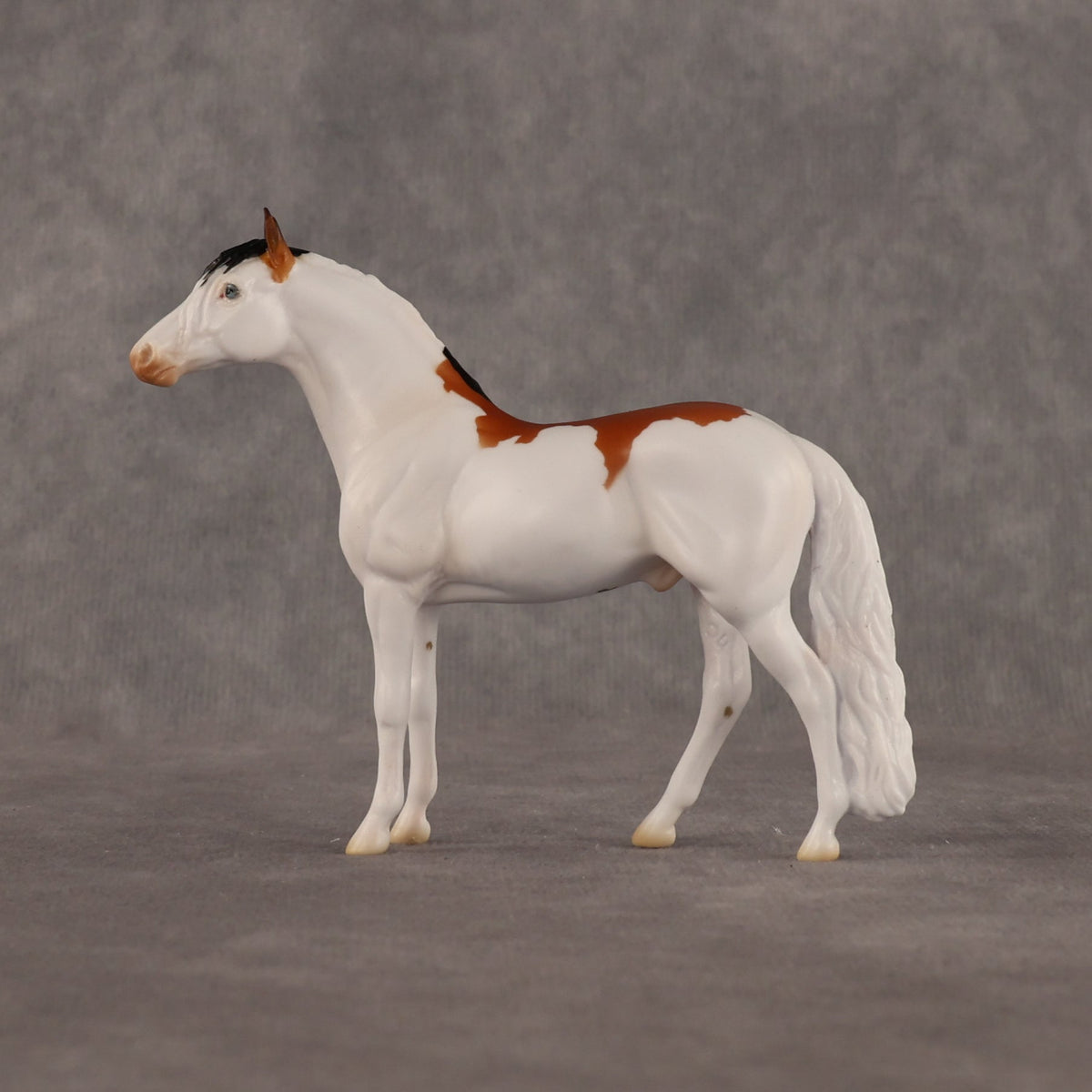 Arthur OOAK Chip Andalusian by Madi Wiseman LHS26