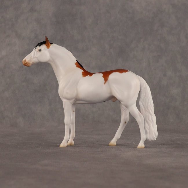 Arthur OOAK Chip Andalusian by Madi Wiseman LHS26
