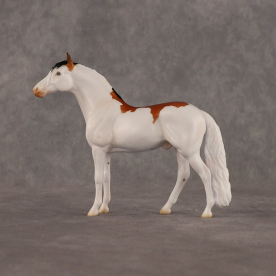 Arthur OOAK Chip Andalusian by Madi Wiseman LHS26