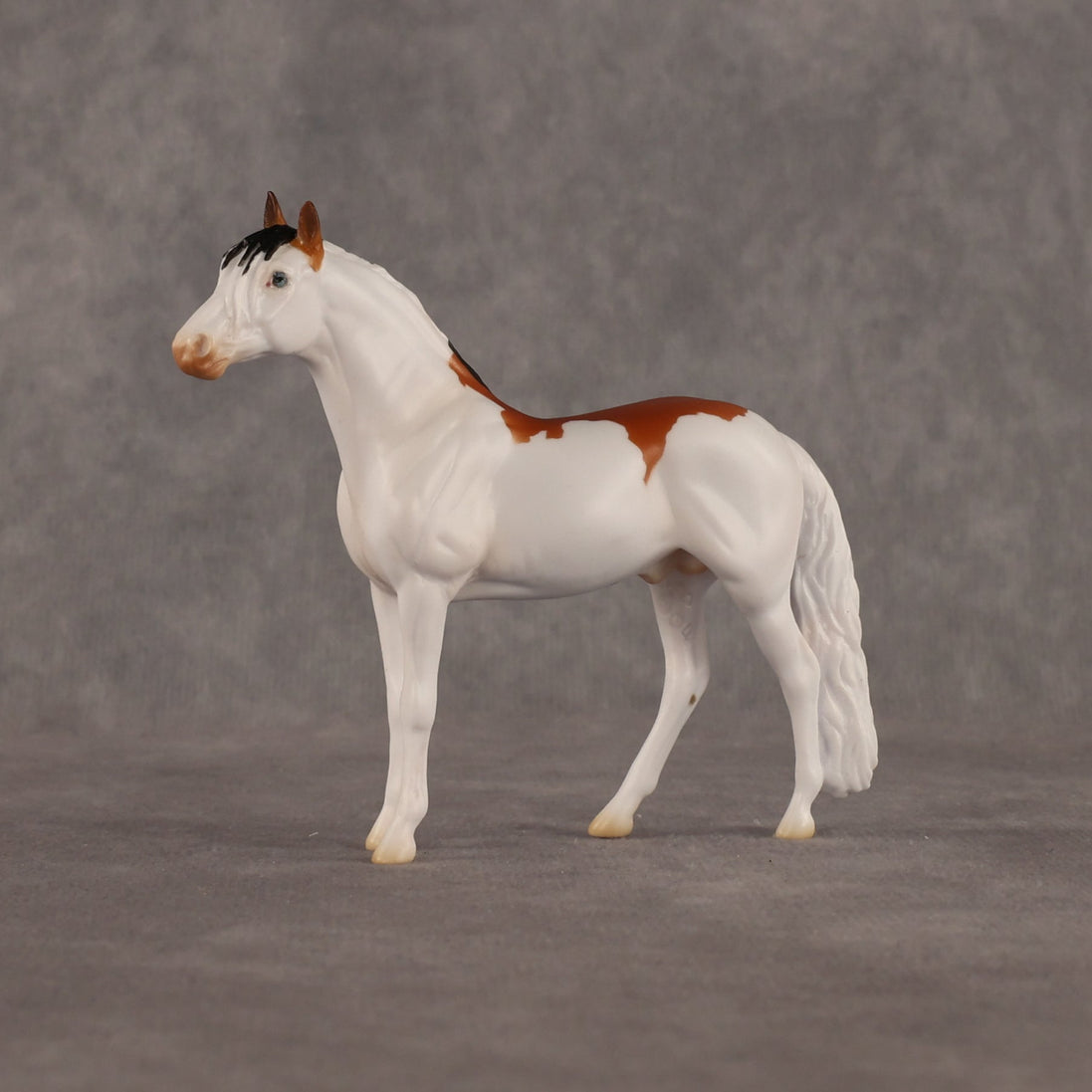 Arthur OOAK Chip Andalusian by Madi Wiseman LHS26