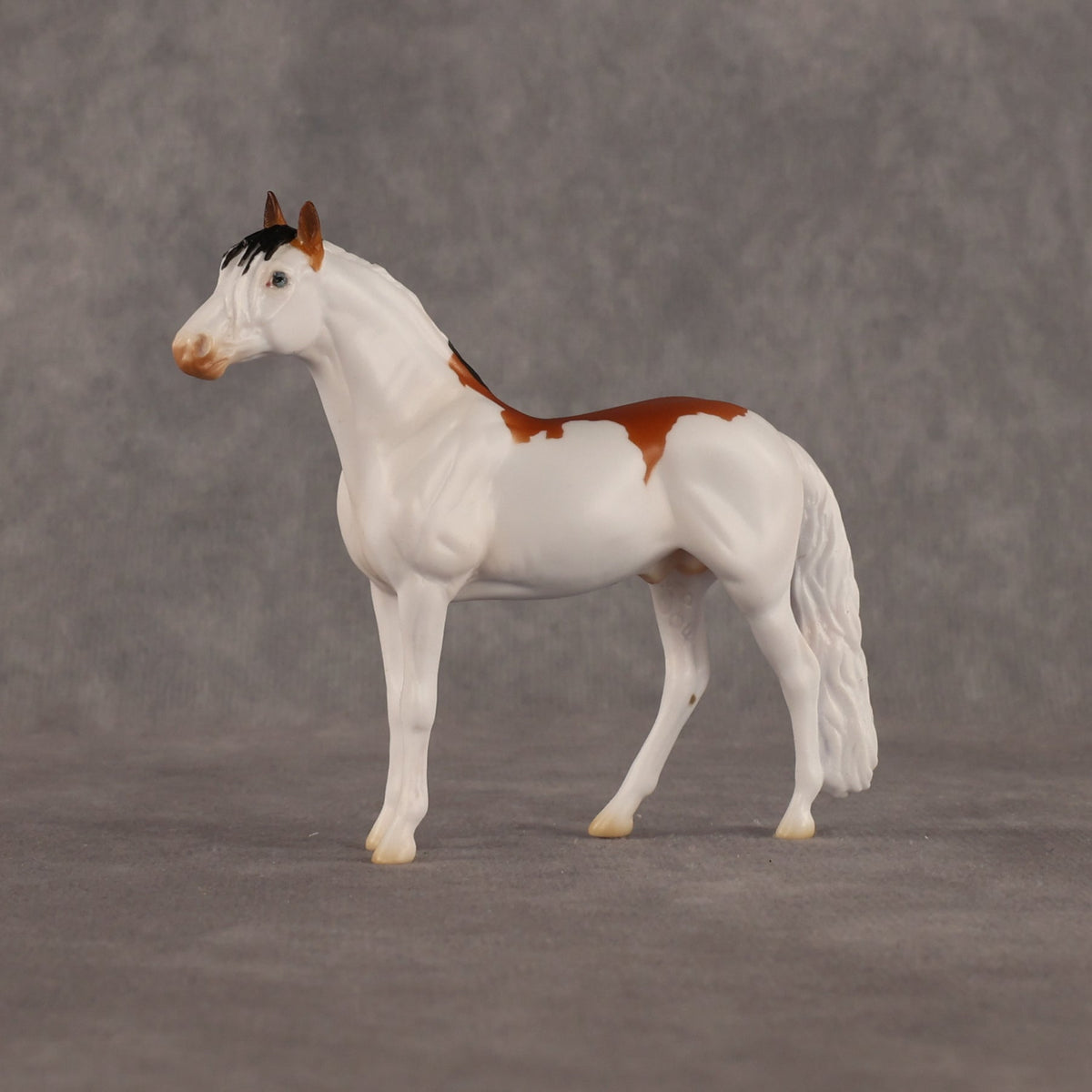 Arthur OOAK Chip Andalusian by Madi Wiseman LHS26