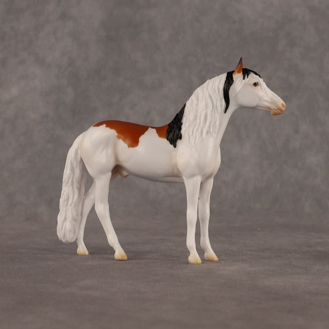 Arthur OOAK Chip Andalusian by Madi Wiseman LHS26